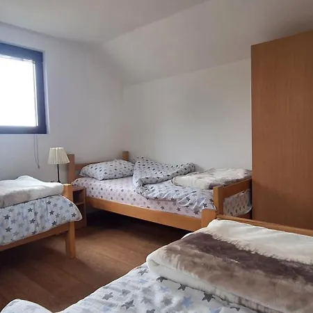 בית הארחה Stari Jasen Uvac סייניצה