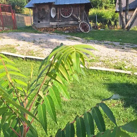 Pensjonat Stari Jasen Uvac