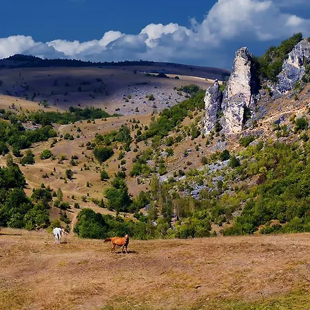 Stari Jasen Uvac Guest house